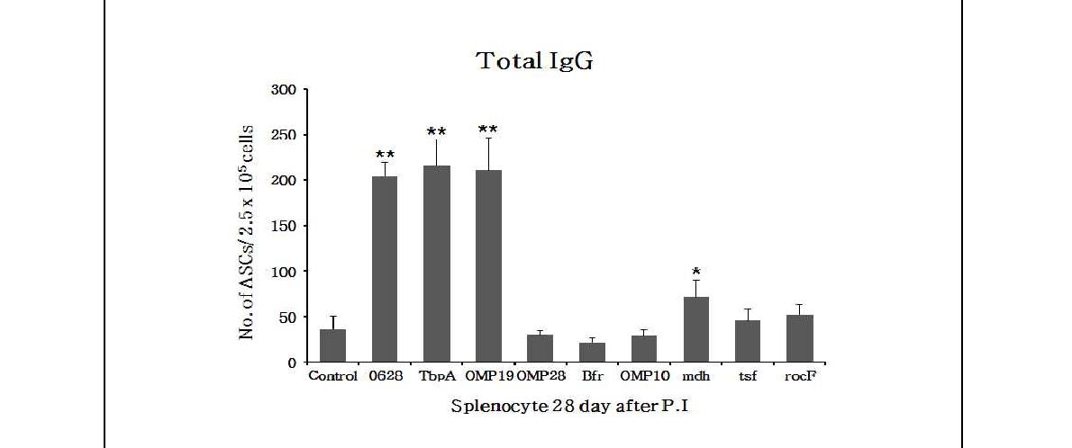 Fig. 114. 고면역원성 재조합 단백질 접종 후 28일 마우스 splenocyte 중 항원 특이 IgG 생성 세포 수 (* p < 0.05, ** p < 0.01)