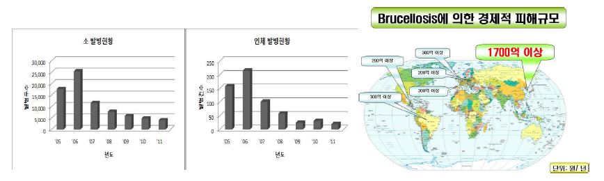 Fig. 1. 국내 Brucella 감염증 발병 추이 및 피해규모 (2012 국립수의과학 검역원, 질병 관리본부 통계 자료).