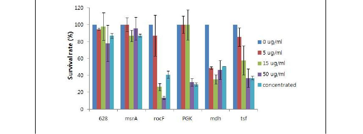 Fig. 42. 브루셀라 균체항원단백질 세포독성 평가 (1). RAW264.7 cell에 정제된 항원 단백질들0628, msrA, rocF, pgk, mdh, tsf을 농도별(0, 5, 10, 50, 100 ㎍/ml)로 48시간 처리시, 모든 목적 항원단백질들은 0628, msrA 및 pgk 재조합 단백의 경우 모든 농도에서 세포독성이 인정되지 않았으나, 그 외 rocF, mdh 및 tsf 재조합 단백은 농도에 비례하여 세포독성을 보임