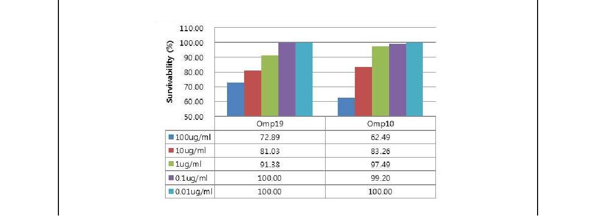 Fig. 44. 브루셀라 균체항원단백질 세포독성 평가 (2). RAW264.7 cell에 정제된 항원 단백질들 Omp 19, Omp 10을 농도별(0.01, 0.1, 1, 10, 100 ㎍/ml)로 48시간 처리시, 0.1에서 10 mg/ml의 농도로 처리하였을 때 세포독성이 인정되지 않았으나, 그 이상의 높은 농도 (100 mg/ml) 에서 세포독성을 보임