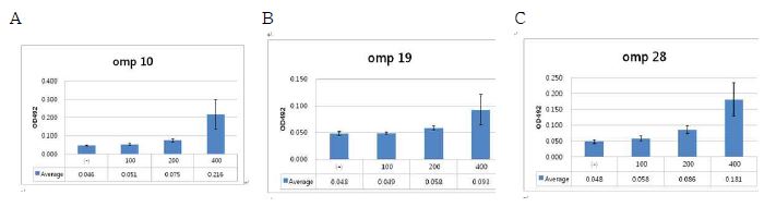 Fig. 45. 브루셀라 균체항원단백질을 이용한 ELISA법 적용. 재조합 고면역원성 항원 3종(Omp10, Omp19, Omp 0)을 이용하여 브루셀라 음성 및 양성혈청 (TAT 100; 42, 200; 44, 400;69)혈청을 이용하여 50 μl의 antigen (3 μg/ml)을 이용하여 ELISA를 수행한 결과, Omp10(A), Omp19(B)와 Omp28 (C) 모두에서 TAT 200이상에서 유의적인 결과를 보임