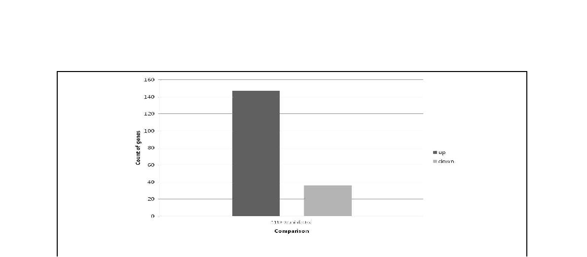 Fig. 59. RAW 264.7 cell에서 B. abortus 1119-3 감염 후 발현 증가 및 감소 유전자 현황