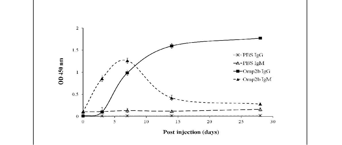 Fig. 68. Omp2b의 마우스 접종 후 마우스 혈청 내 항원 특이 IgM과 IgG의 변화