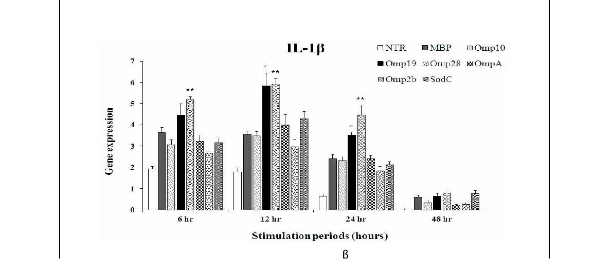 Fig. 76. 고면역원성 항원에 대한 시간대별 IL-1β 발현 정도 (* p ＜ 0.05, ** p ＜ 0.01)