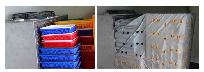 Fig. 2. Forced-air cooling of calyx removed summer strawberry Albion cultivated on high land of Pyeongchang area in 2014 to decrease in temperature and to dry the epidermis layer of fruit at 5℃, 10℃, and 15℃ for 2-14 hrs, respectively.