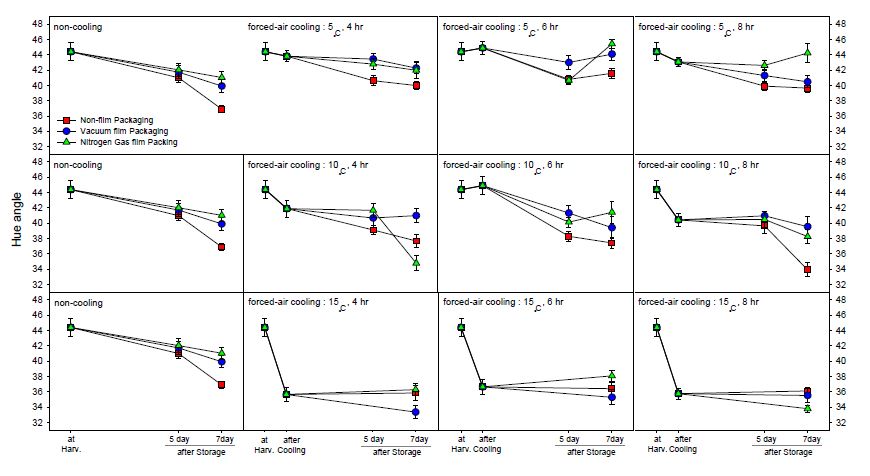 Fig. 16. Hue angle value of minimally processed summer strawberry Albion cultivated on high land of Pyeongchang area in 2014 during storage for 7 days after forced-air cooling at 5℃, 10℃, and 15℃ for 4-8 hrs and 0.05mm LDPE film packaging with nitrogen gas filling or vacuum, respectively.