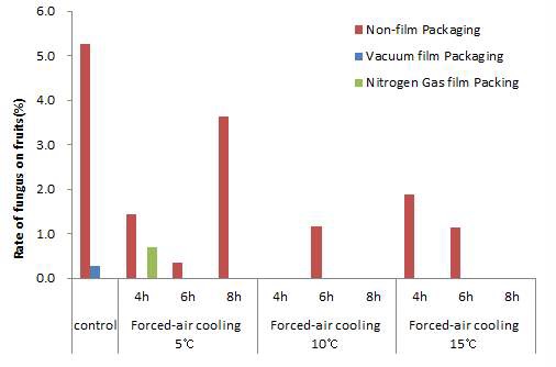 Fig. 17. Incidence rate of fungus on fruits of minimally processed summer strawberry Albion cultivated on high land of Pyeongchang area in 2014 during storage for 7 days after forced-air cooling at 5℃, 10℃, and 15℃ for 4-8 hrs and 0.05mm LDPE film packaging with nitrogen gas filling or vacuum, respectively.