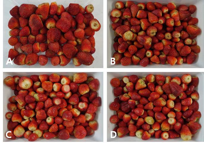 Fig. 19. Quality of non-marketable of minimally processed summer strawberry Albion cultivated on high land of Pyeongchang area in 2014 during storage for 7 days after forced-air cooling at 5℃ for 6 hrs and 0.05mm LDPE film packaging with nitrogen gas filling or vacuum, respectively.