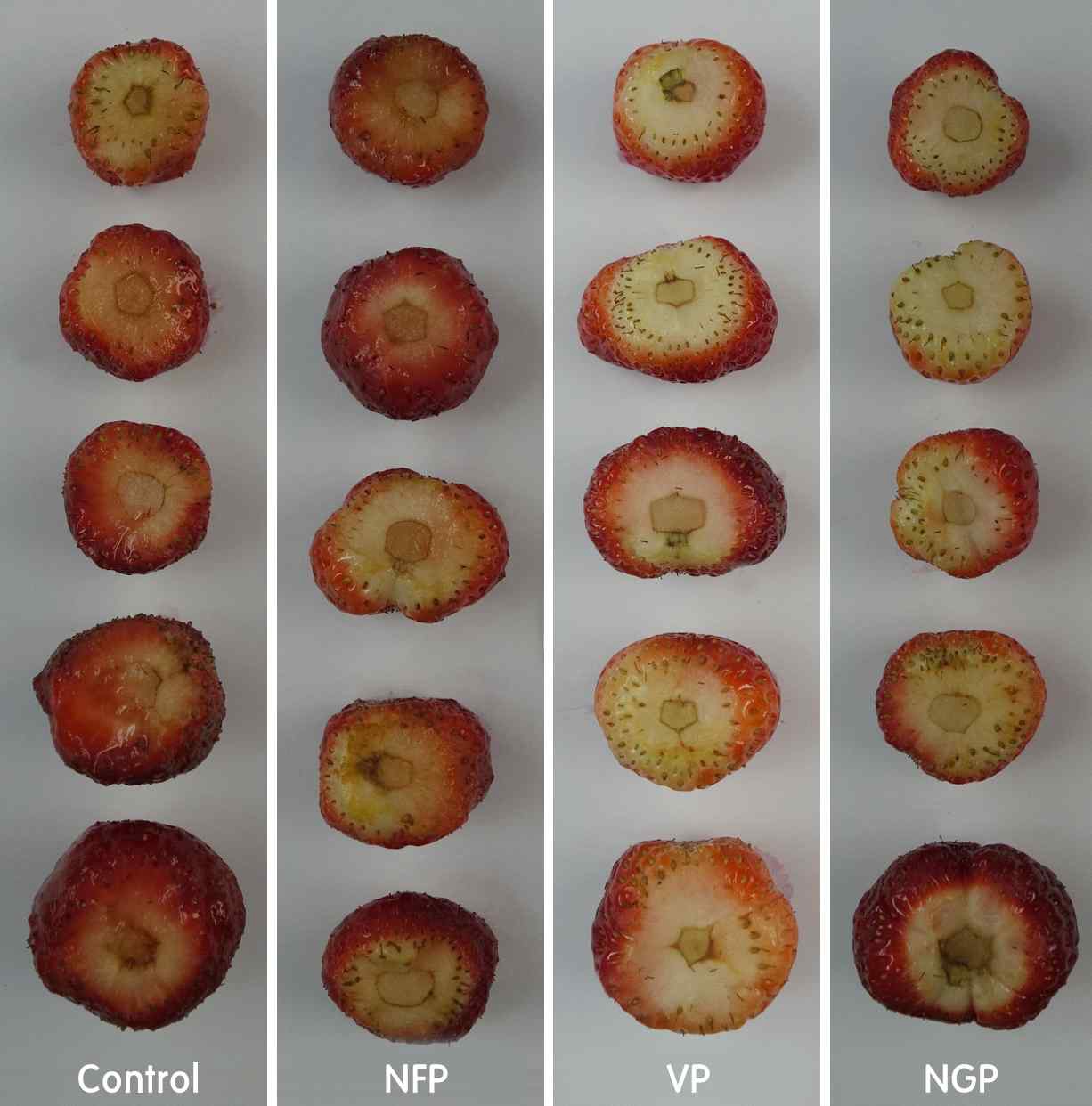 Fig. 20. Cutting plane appearance of non-marketable of minimally processed summer strawberry Albion cultivated on high land of Pyeongchang area in 2014 during storage for 7 days after forced-air cooling at 5℃ for 6 hrs and 0.05mm LDPE film packaging with nitrogen gas filling or vacuum, respectively.