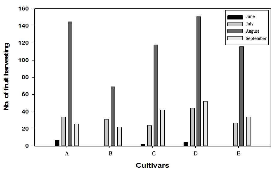 Fig. 4. Number of fruits of summer strawberry cultivars after harvesting cultivated on high land of Pyeongchang area in 2014 A: Albion, B: Charlotte, C: Flamenco, D: Goha, E: Yeolha