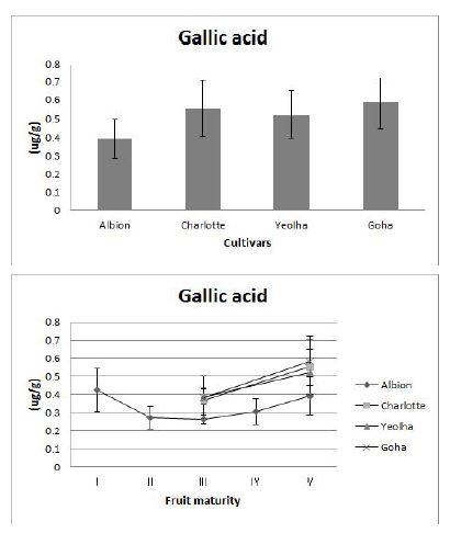 Fig. 17. Gallic acid content and its changes in fruits at mature stages of 4 strawberry cultivars grown on highland (700m above sea level) in Pyeongchang area in 2014.