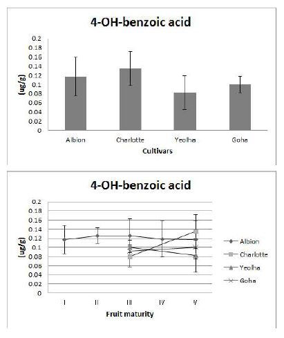 Fig. 18. 4-OH-benzoic acid content and its changes in fruits at mature stages of 4 strawberry cultivars grown on highland (700m above sea level) in Pyeongchang area in 2014.