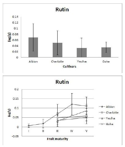 Fig. 19. Rutin content and its changes in fruits at mature stages of 4 strawberry cultivars grown on highland (700m above sea level) in Pyeongchang area in 2014.