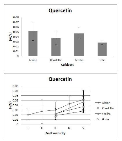 Fig. 20. Quercetin content and its changes in fruits at mature stages of 4 strawberry cultivars grown on highland (700m above sea level) in Pyeongchang area in 2014.