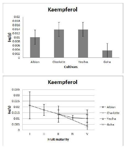 Fig. 21. Kaempferol content and its changes in fruits at mature stages of 4 strawberry cultivars grown on highland (700m above sea level) in Pyeongchang area in 2014.