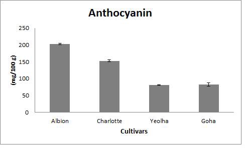 Fig. 26. Anthocyanin content in fruits of 4 strawberry cultivars grown on highland (700m above sea level) in Pyeongchang area in 2014.