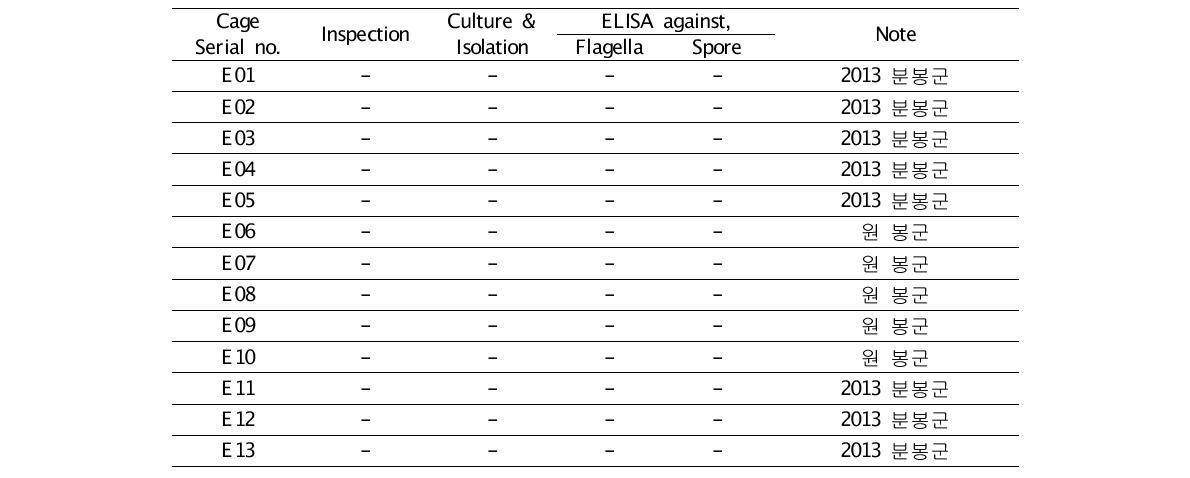 표 5 AFB 배양검사 및 ELISA 결과