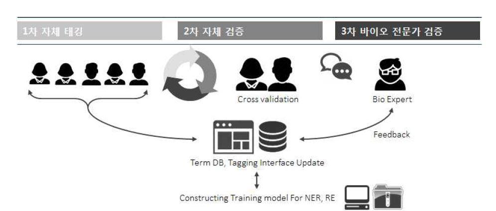 인체 관련 개체의 멀티타입 코퍼스 구축 과정