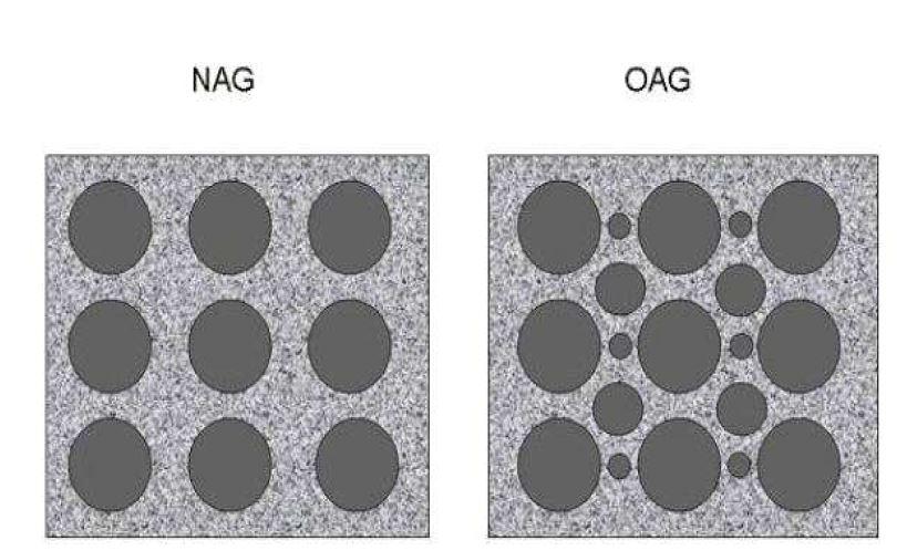 NAG와 OAG의 개념도