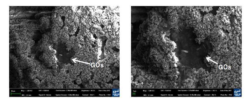 SEM images of GOs in the cement paste