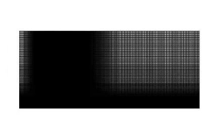 그림 42 Grid for Flat plate