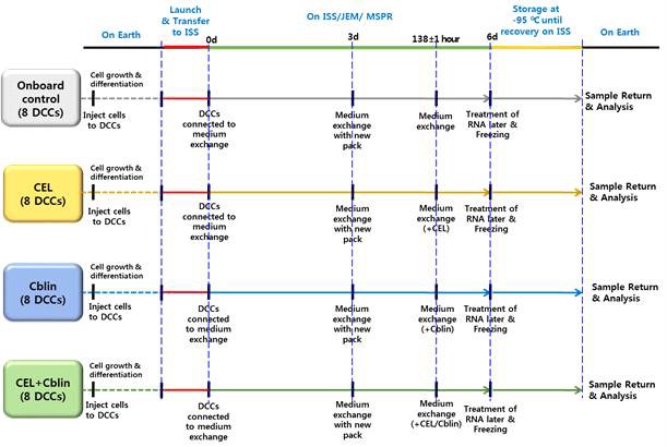 그림 3.1.1.5 국제우주정거장 세포배양 우주실험 과정