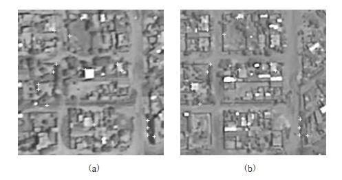Matching result over a region in the test imagery (TM = 0.7, ST=17) (a) reference image (b) sensed image.