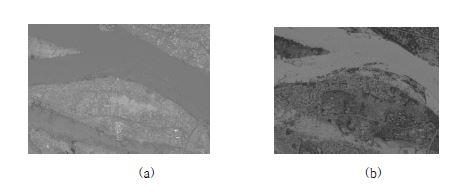 NDWI image created from green band and NIR band of KOMPSAT-2 (a) panchromatic image (b) NDWI image.