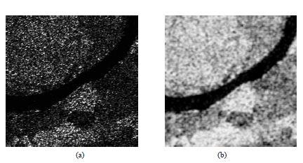 (a) The original test Kompsat-5 image (b) the normalized entropy image.