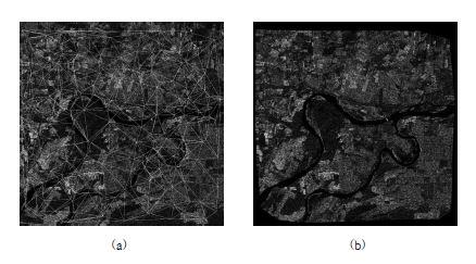 The result of warping all the triangles in the sensed image (2014.12.12) to those in the reference image (a) Delaunay TIN generation (b) warped image.