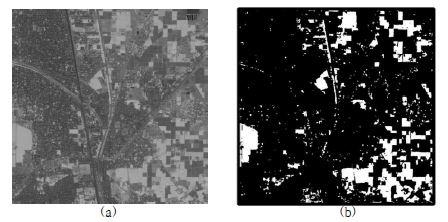 NDVI region detection (a) NDVI image (b) binary NDVI image.