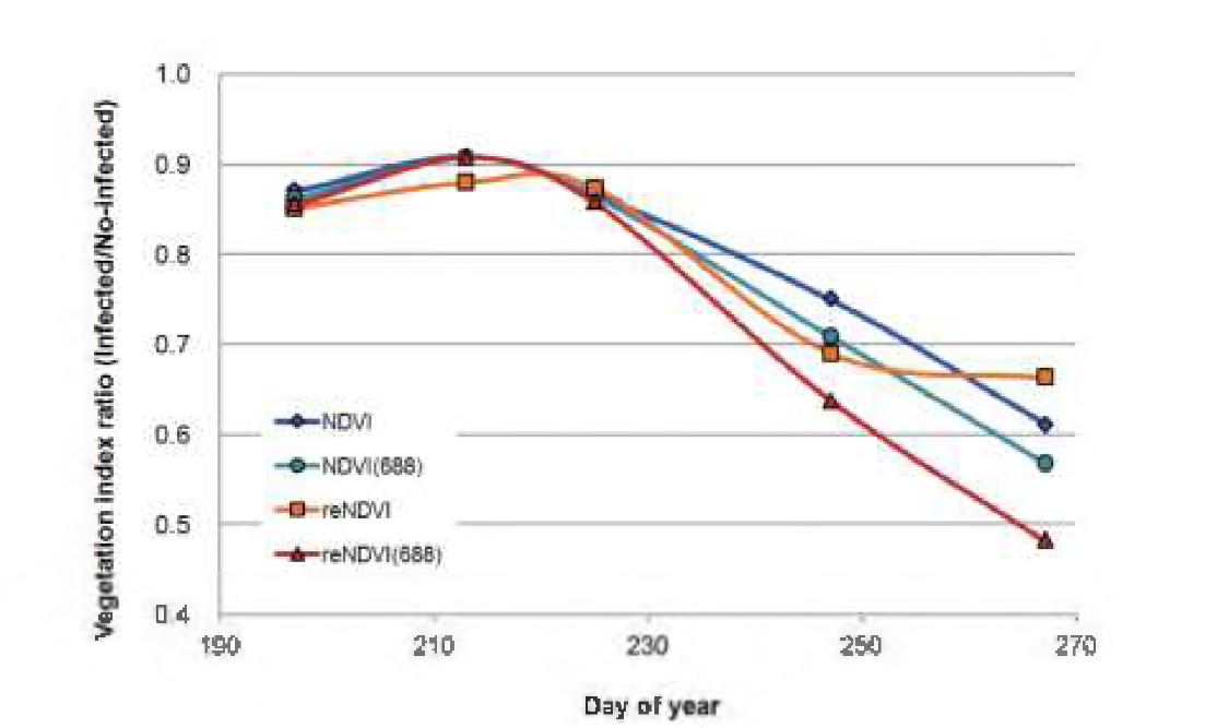 그림 15. 감염목 및 정상목의 식생지수 비율의 시계열 변화