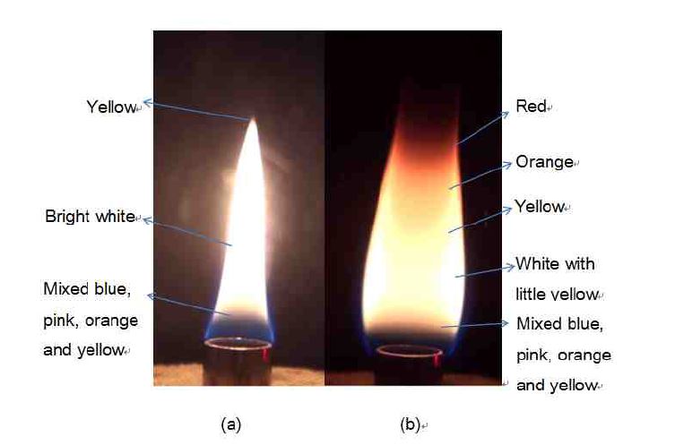 그림 3-19 지상중력(a) 와 마이크로중력(b)에서의 n-부탄화염의 특성