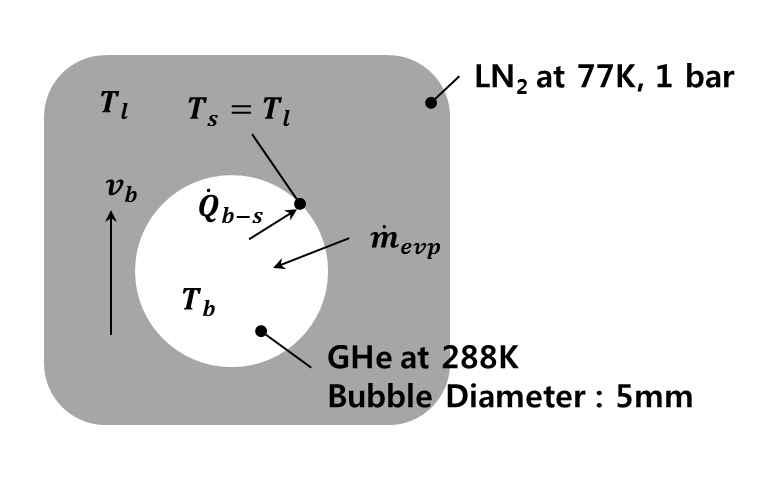 헬륨 버블과 액체 질소간 열전달 체계