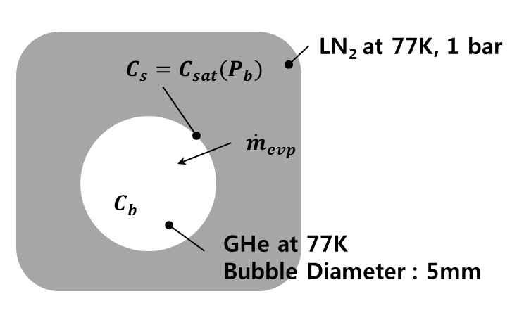 헬륨 버블과 액체 질소간 물질 전달 체계