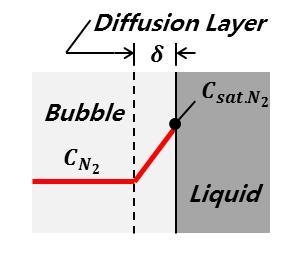 헬륨 버블과 액체 질소간 물질 확산 층과 농도 구배