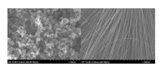 [그림] Graphite Powder(左), Carbon Fiber(右)의 전자현미경 사진