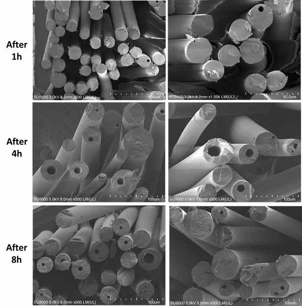 [그림] 연속공정으로 방사한 시간에 따른 피치섬유 SEM 이미지