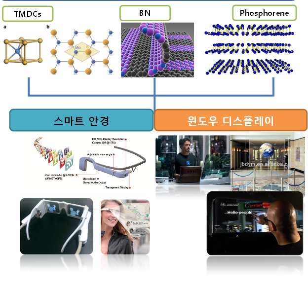 저차원 물질기반 전자/정보 소자