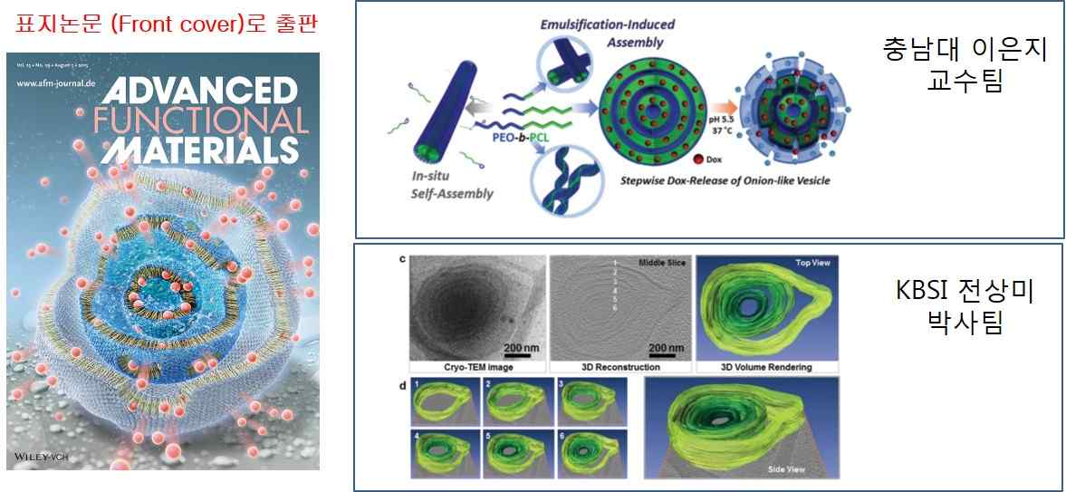 다증층 나노캡슐 제조 및 Cryo-ET를 활용한 3차원 구조적 특이성 규명