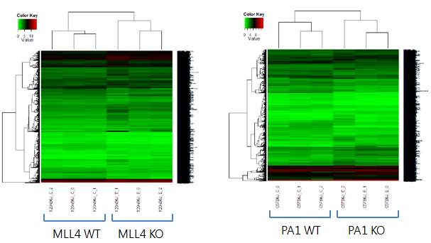 MLL4 또는 PA1 유전자에 의한 타겟 유전자들을 RNA-seq을 통하여 확인한 결과