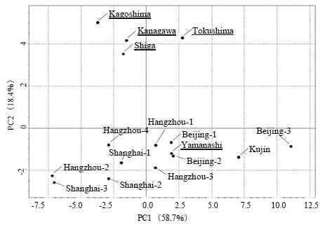 일본과 중국에서 재배된 고삼의 PCA score plot