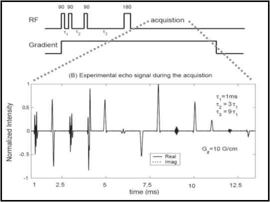 MMME sequence