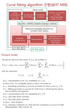 3T MRS 데이터 분석용 curve fitting algorithm 구현 개발 개략도(좌) 및 nonlinear least squares 모델 방정식(우)