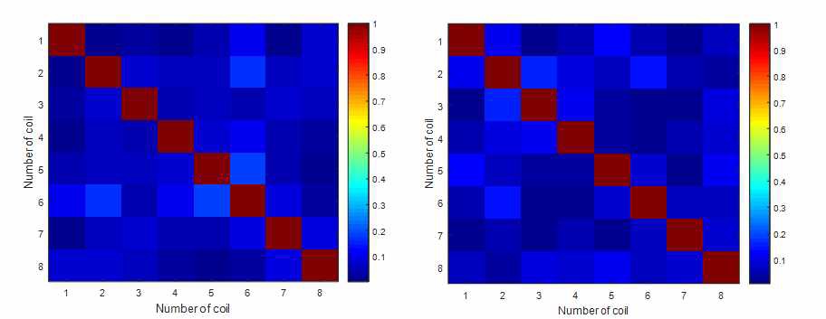 (a) 팬텀의 Noise correlation, (b) 지원자의 Noise correlation