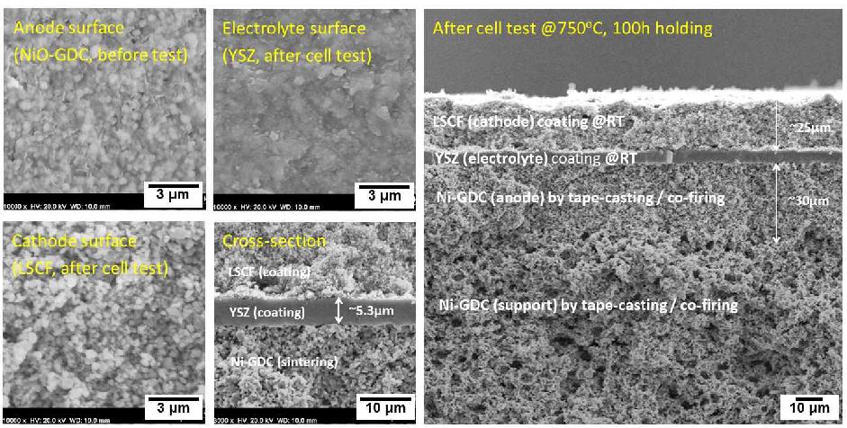 [그림 6]. 저온 전해질 코팅 공정으로 제조된 음극지지체 기반 셀의 미세구조