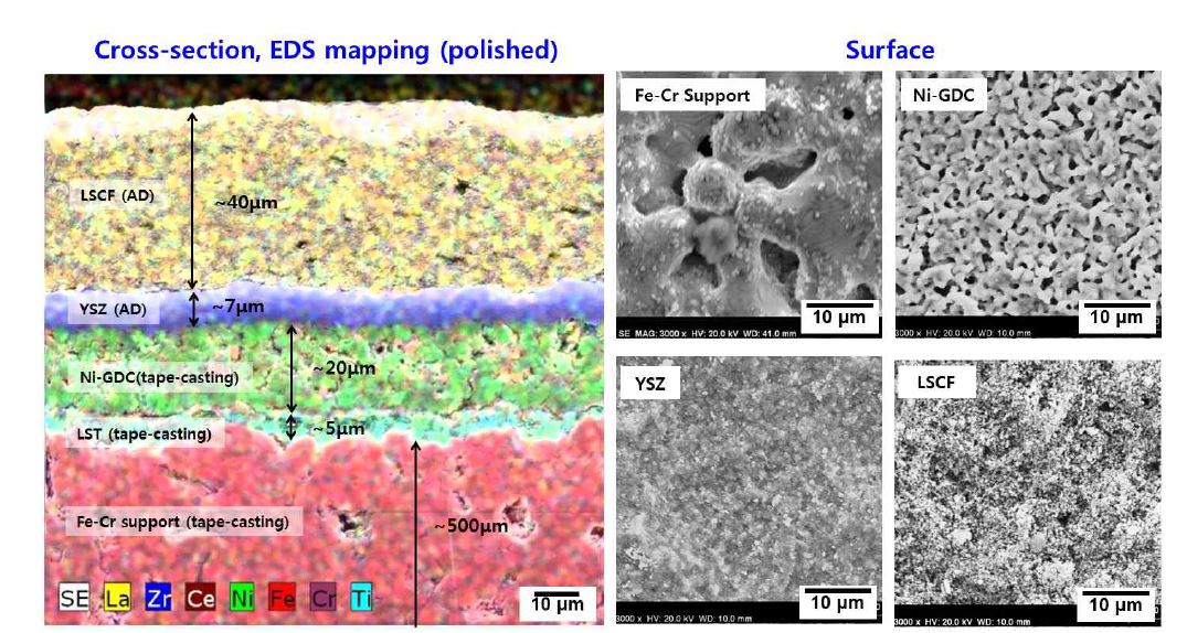 [그림 13]. 최적화된 금속지지형 셀의 단면 및 표면 미세구조 분석