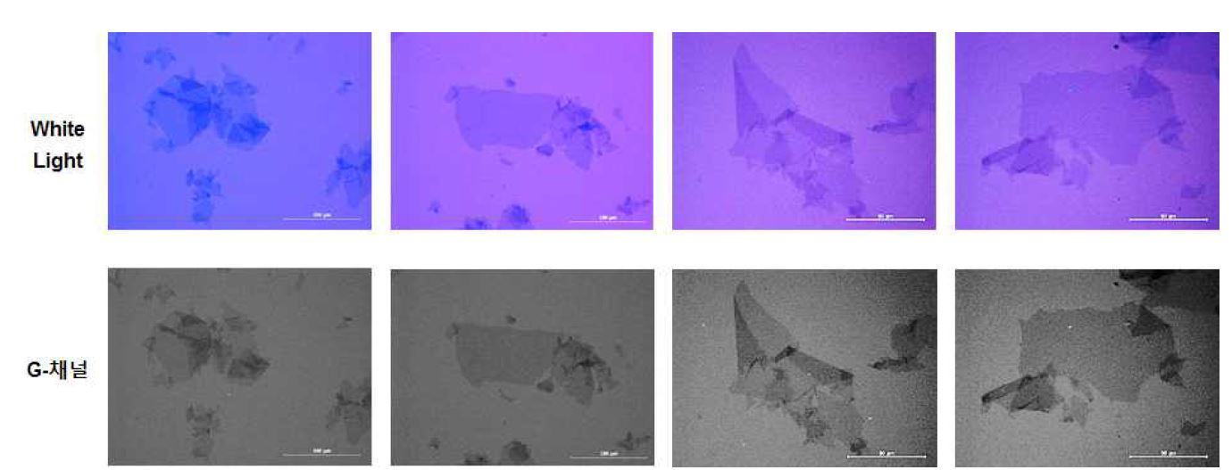 그림 3-1-5. 거대 산화 그래핀의 광학 이미지
