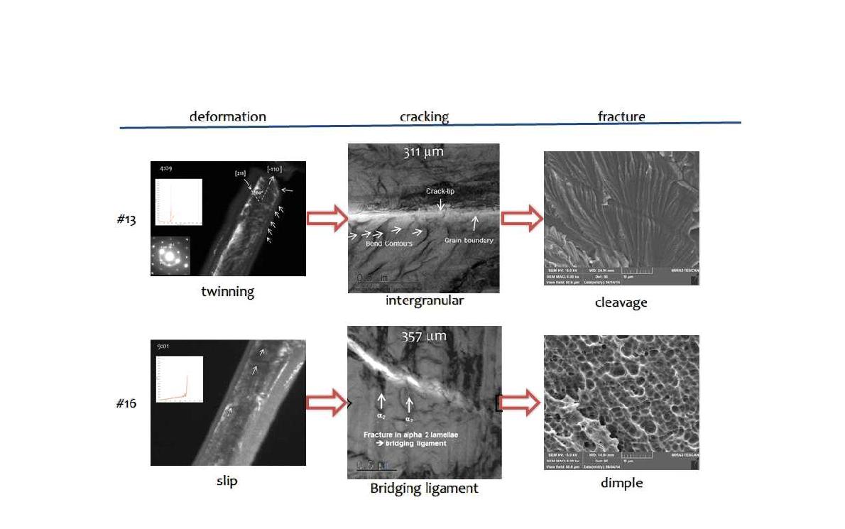 그림 18. #13합금과 #16 합금의 변형, 크랙전파 및 파괴거동