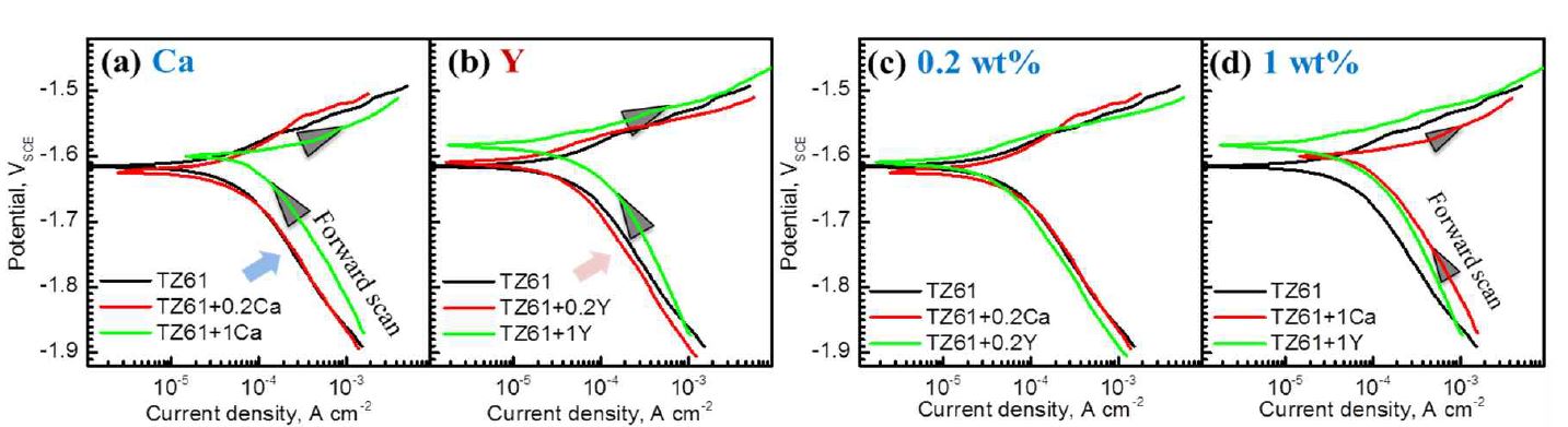 그림 3-14. (a) Ca-series 및 (b) Y-series의 양극분극곡선. 합금원소 함량이 (c) 0.2 wt.% 및 (d) 1 wt.% 일 때 각 합금원소가 분극곡선에 미치는 영향 비교. 3.5 mass% NaCl 용액 (25℃, N2 탈기).